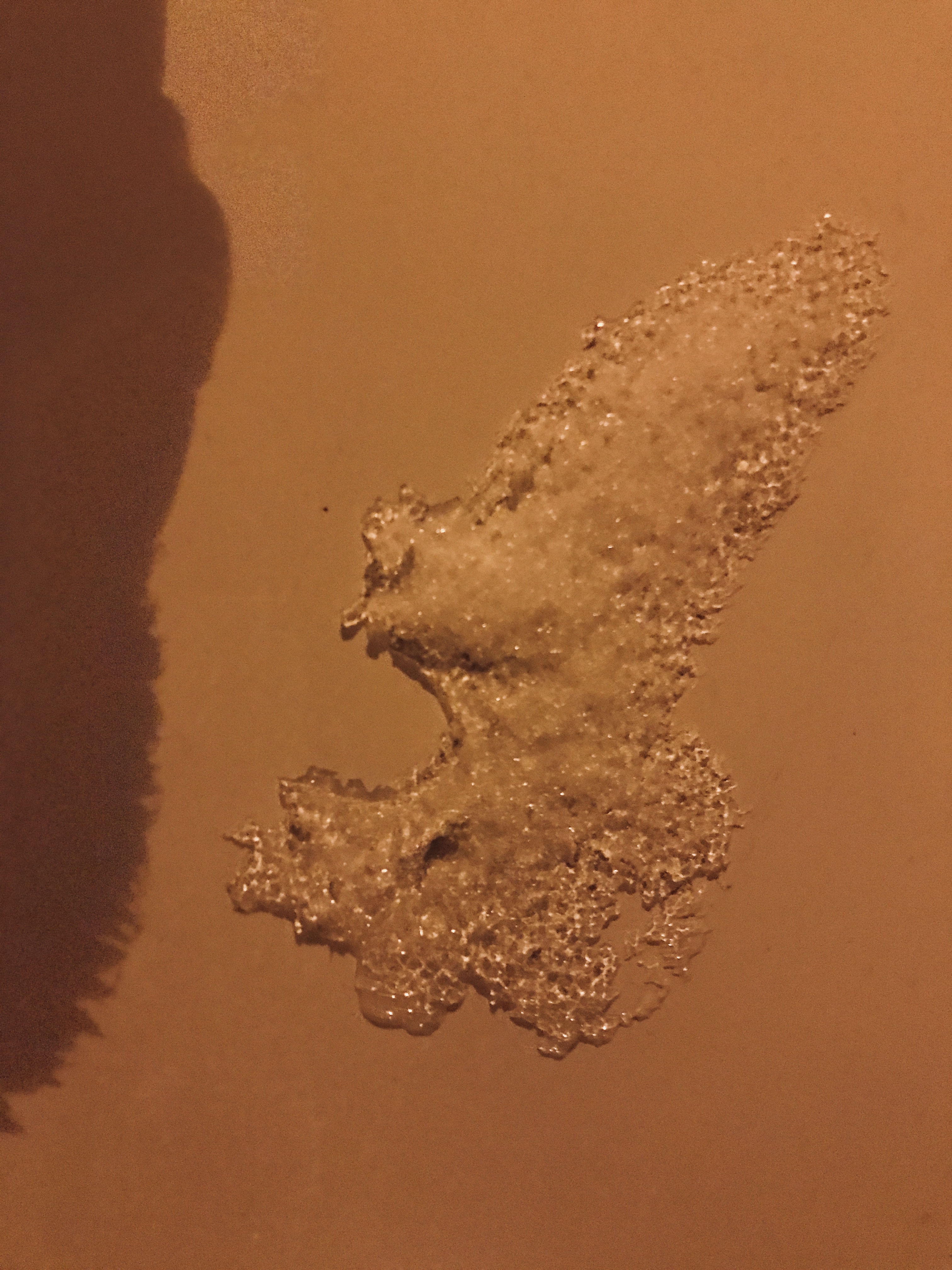 Frozen Rabbit